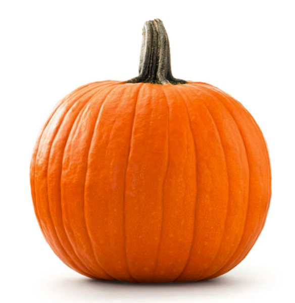 Medium Sized Pumpkin for Pumpkin Carving Challenge