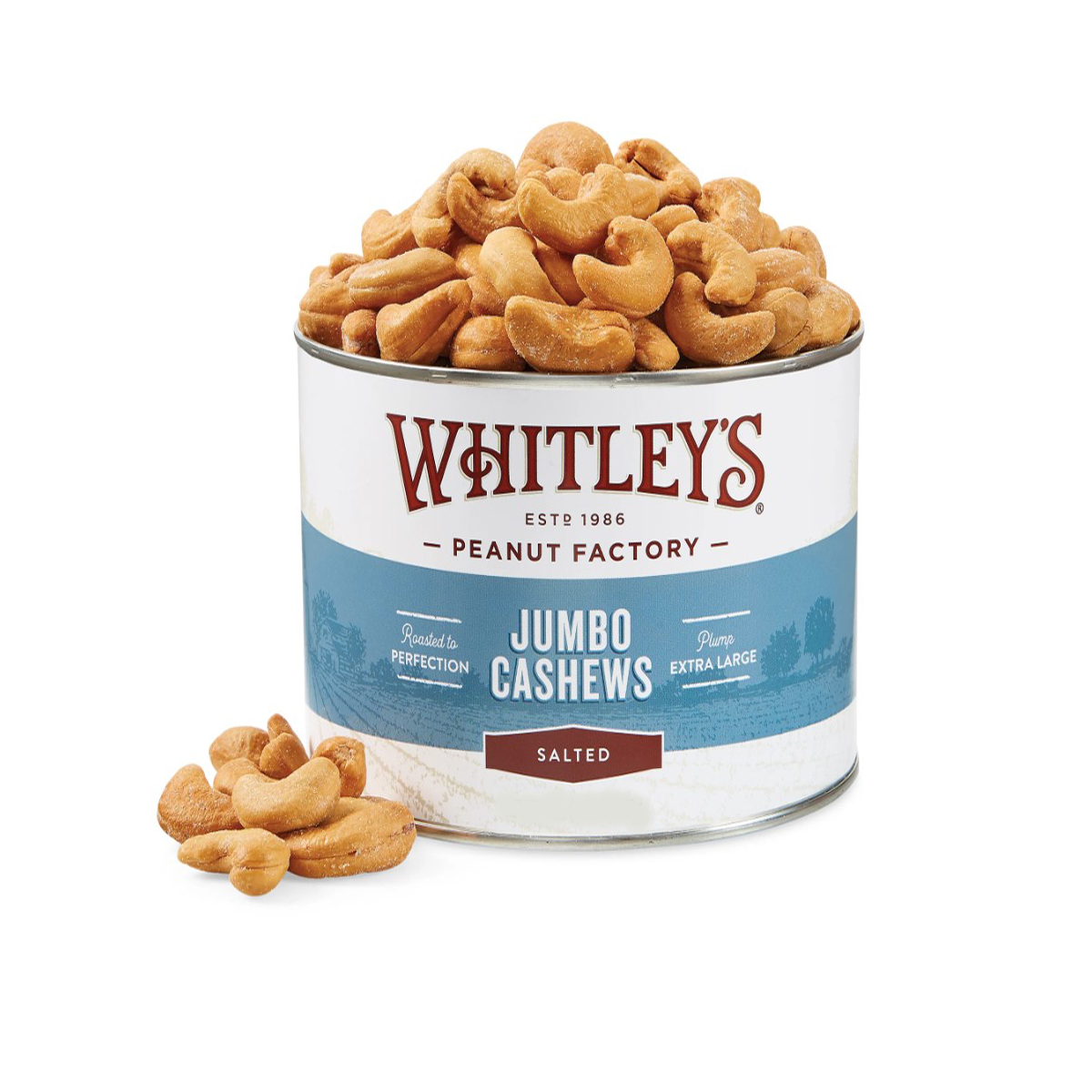 Salted Cashews (12oz)