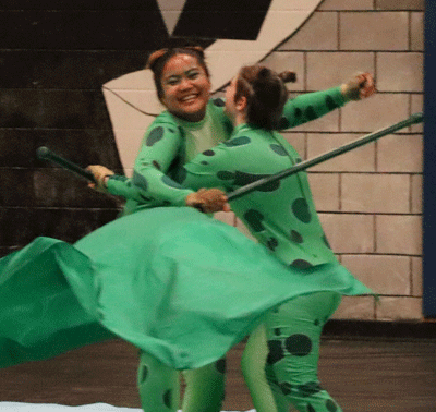 Enter your own amount of support!