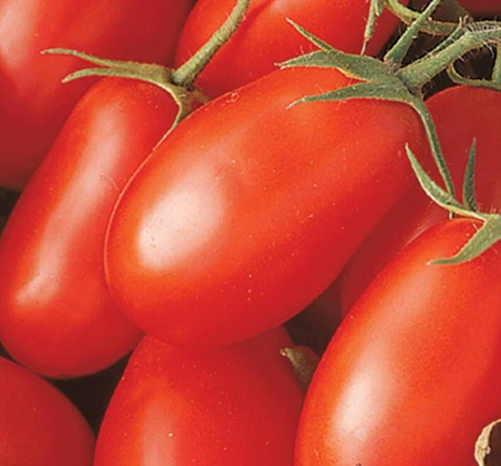 Tomatoes - La Roma